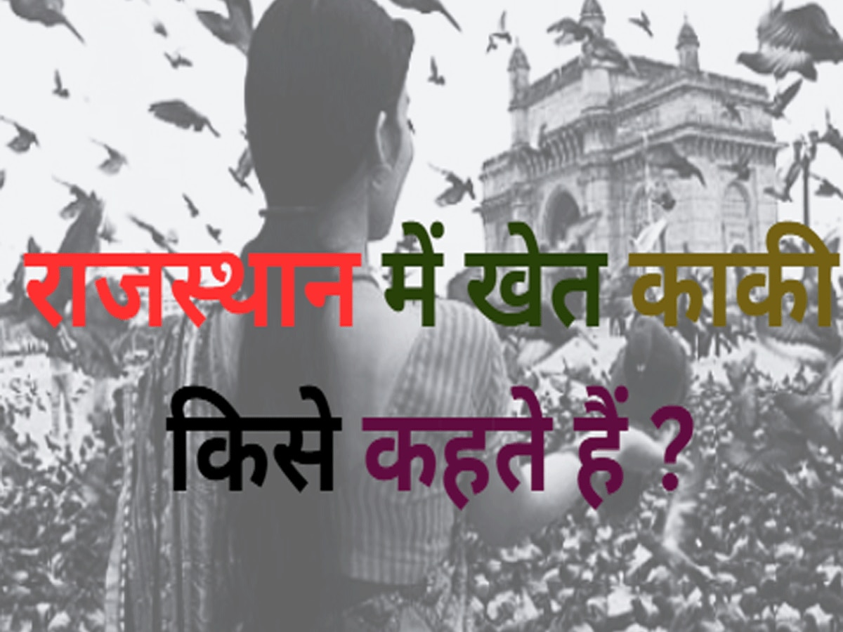 Trending Quiz Rajasthan GK Question Who is called Khet Kaki in marwadi