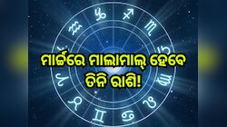 Sun Transit 2025: ସୂର୍ଯ୍ୟଙ୍କ ଚଳନ ବଦଳାଇବ ଏହି ସବୁ ରାଶିଙ୍କ ଭାଗ୍ୟ, ବଢିବ ବ୍ୟାଙ୍କ୍ ବାଲାନ୍ସ
