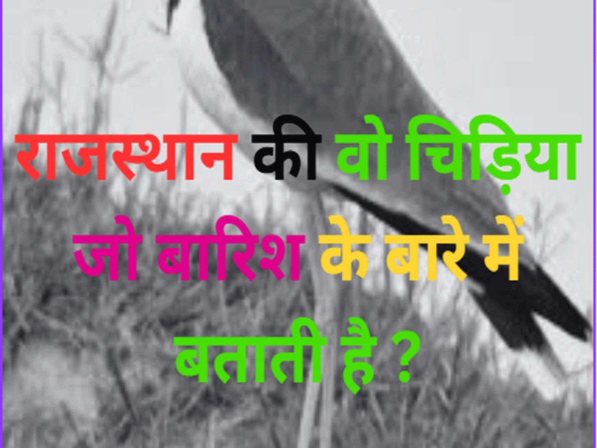 Trending Quiz Rajasthan GK Question bird of Rajasthan which tells about rain