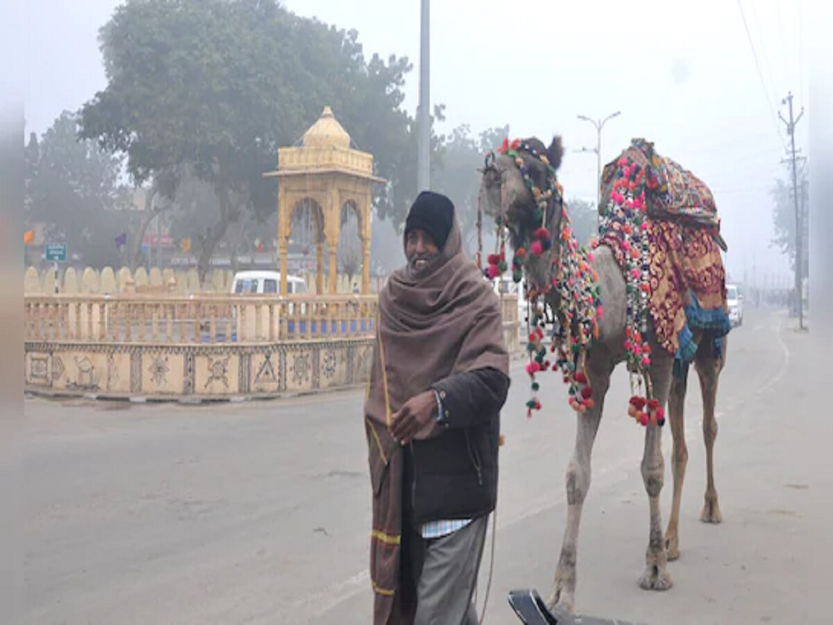 Rajasthan Weather Update 8 january 2025 relief from severe cold from this day know IMD Alert | Rajasthan Weather Update: राजस्थान में पश्चिमी हवाओं से बदलेगा मौसम, कड़ाके की ठंड से मिलेगी