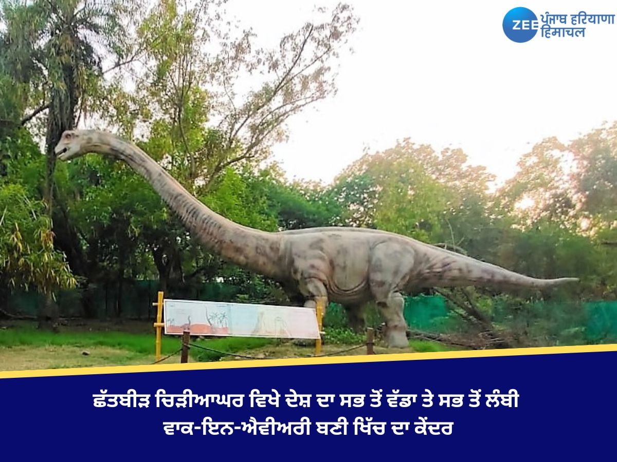 Chhatbir Zoo: ਛੱਤਬੀੜ ਚਿੜੀਆਘਰ ਵਿਖੇ ਦੇਸ਼ ਦਾ ਸਭ ਤੋਂ ਵੱਡਾ ਅਤੇ ਸਭ ਤੋਂ ਲੰਬੀ ਵਾਕ-ਇਨ-ਐਵੀਅਰੀ ਬਣੀ ਖਿੱਚ ਦਾ ਕੇਂਦਰ