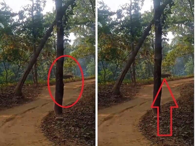 लोग इस यादगार पल को अपने कैमरे में कैद करने लगे