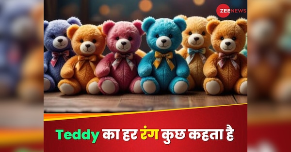 Teddy Bear Different Colour Meaning 10 February Valentine Week 2025 | Happy Teddy Day: टेडी बियर ...