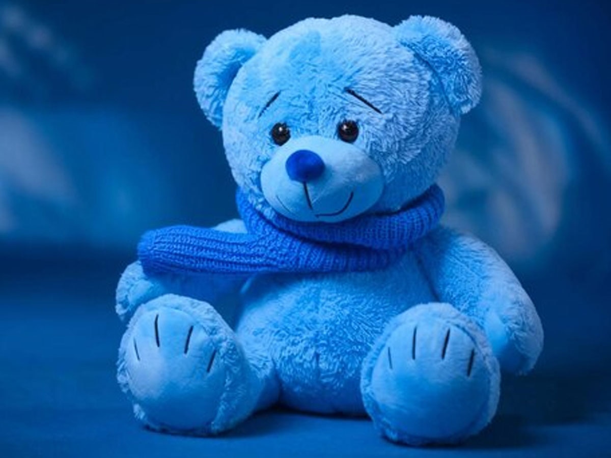 Teddy Bear Different Colour Meaning 10 February Valentine Week 2025 ...