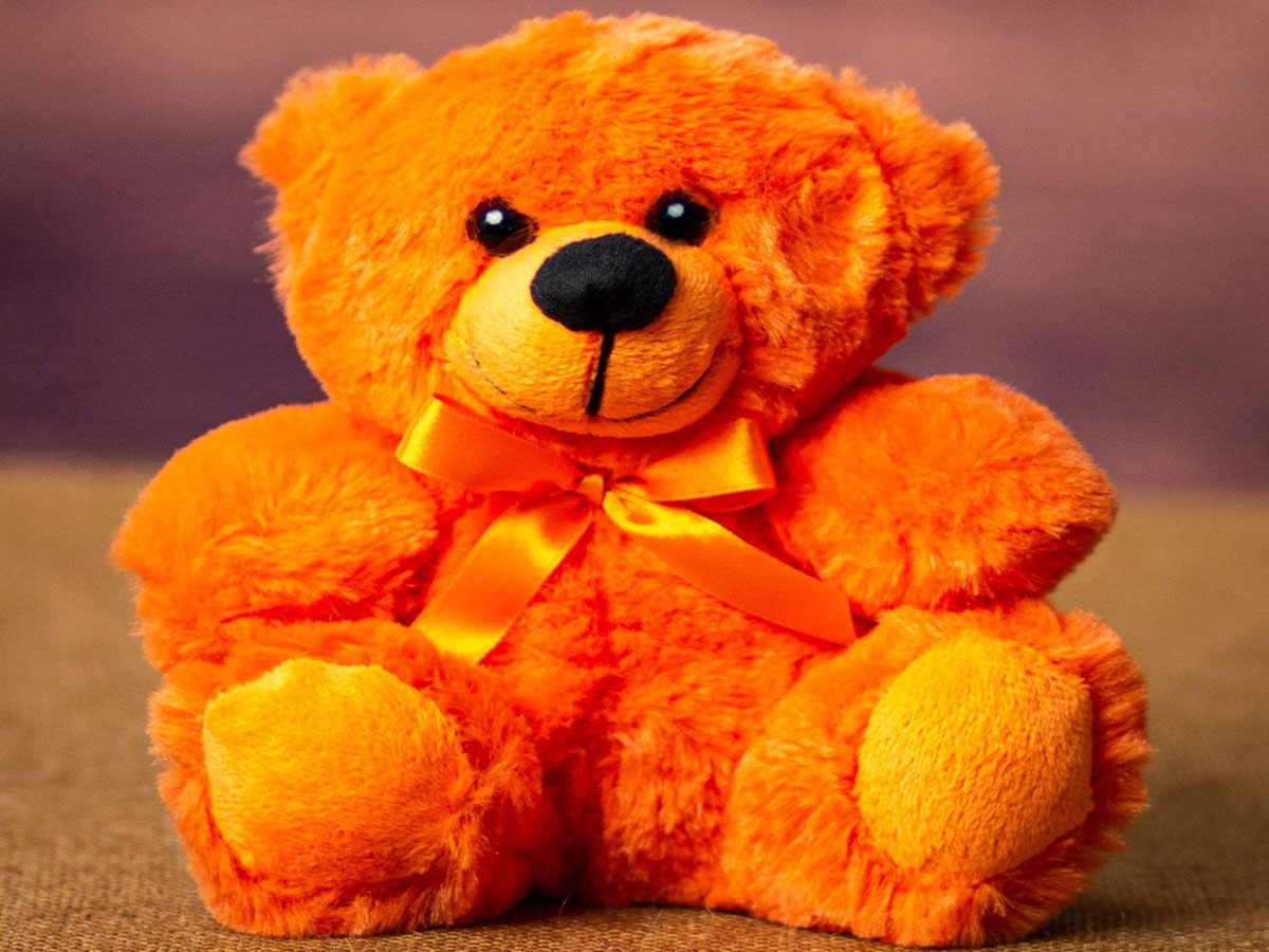 Teddy Bear Different Colour Meaning 10 February Valentine Week 2025 ...