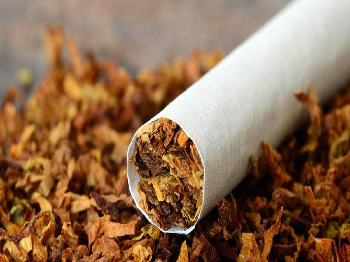 Saudi Arabia में तंबाकू बेचना नहीं होगा आसान, सरकार ने जारी की गाइडलाइंस Saudi Arabia में तंबाकू बेचना नहीं होगा आसान, सरकार ने जारी की गाइडलाइंस