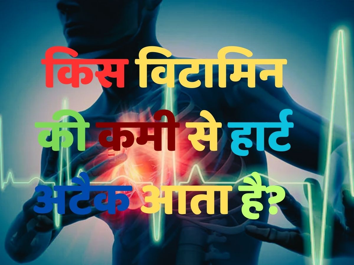 Health Quiz: क्या आप जानते हैं, किस विटामिन की कमी से हार्ट अटैक आता है? Health Quiz: क्या आप जानते हैं, किस विटामिन की कमी से हार्ट अटैक आता है?