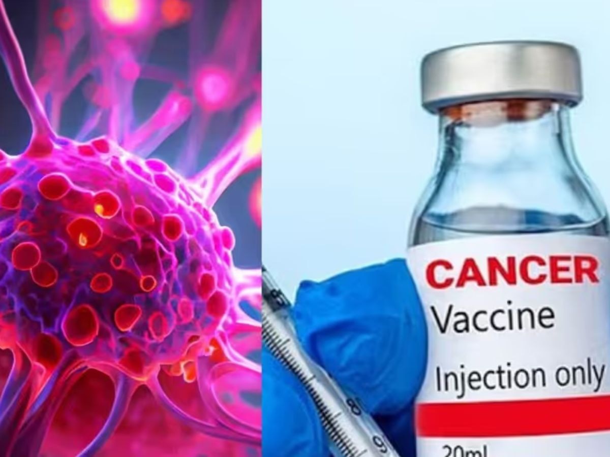 Cancer Vaccine: ଖୁସି ଖବର, ଏଣିକି ୧୦ ହଜାର ଟଙ୍କାରେ ମିଳିବ କ୍ୟାନସର ଟିକା!