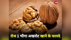 खाना शुरू करें 1 भीगा अखरोट, मिलेंगे 5 गजब के फायदे;हर कोई पूछेगा हेल्दी रहने का राज