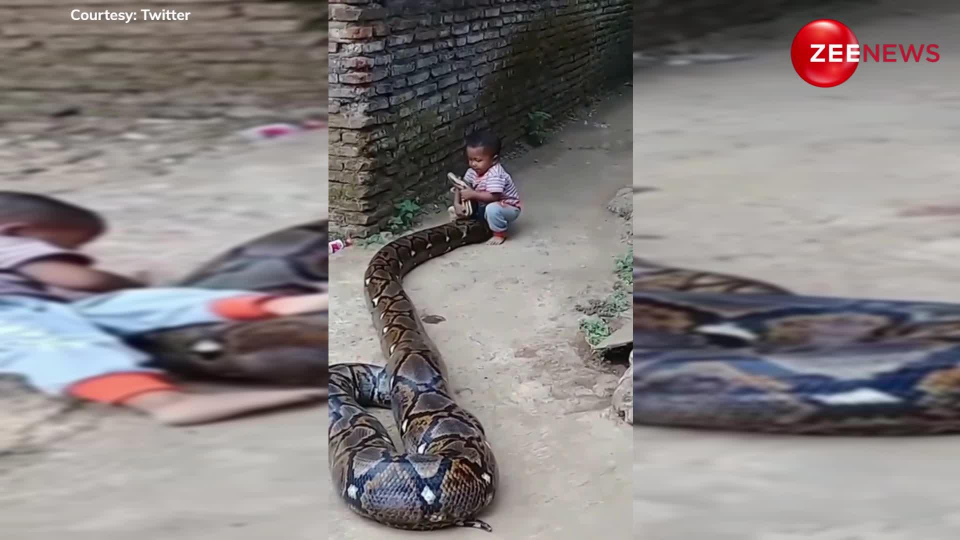 Child playing with python suddenly grabbed him what happened will make ...