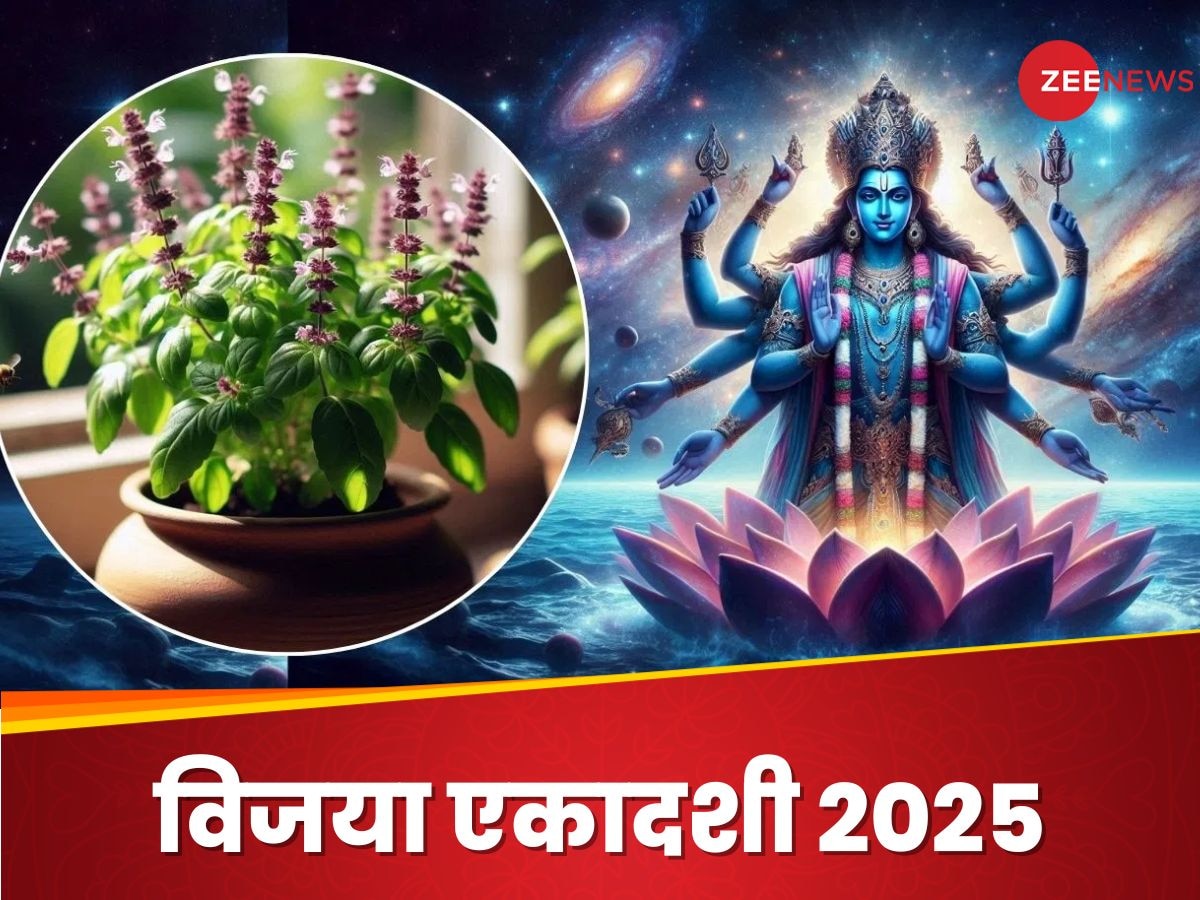 Vijaya Ekadashi 2025: विजया एकादशी पर कर लें तुलसी से जुड़े ये काम, धन की देवी लक्ष्मी का होगा घर में वास