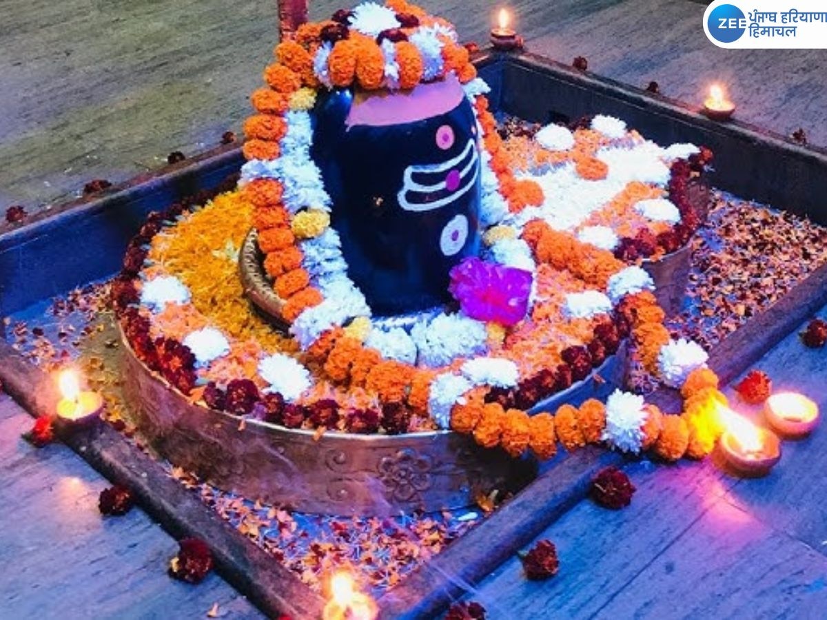 Mahashivratri 2025: ਮਹਾਂਸ਼ਿਵਰਾਤਰੀ 'ਤੇ ਭੋਲੇਨਾਥ ਨੂੰ ਕੀ ਚੜ੍ਹਾਉਣਾ ਚਾਹੀਦਾ ਹੈ ਅਤੇ ਕੀ ਨਹੀਂ? ਇੱਥੇ ਜਾਣੋ