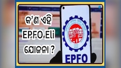 EPFO Eli Scheme: ନୂଆ କରି ଜଏନ୍ କରୁଥିବା କର୍ମଚାରୀଙ୍କୁ ମାସିକ ଦରମା ସହ ମିଳିବ ଆର୍ଥିକ ସହାୟତା