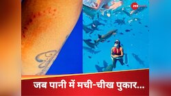 शार्क के झुंड ने युवती को घेरा, एक ने जबड़े से जकड़ ली जांघ, चौंका देगा ये खौफनाक.. 