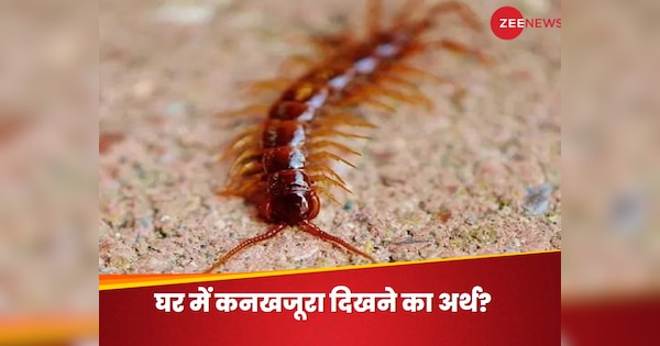 Ghar me Kankhajura Dikhna Shubh ya Ashubh what happens if a centipede ...
