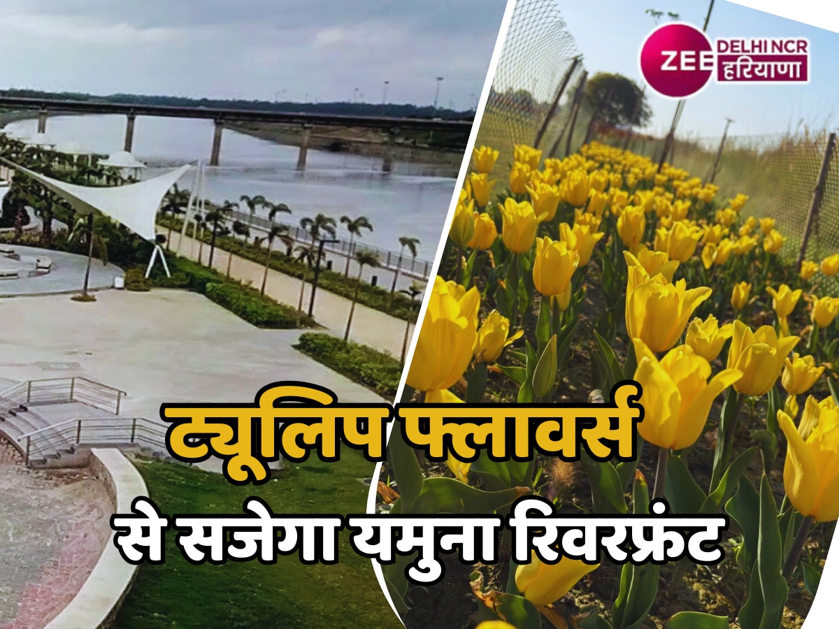 Yamuna Riverfront : ट्यूलिप और विंटर फ्लावर्स से सजेगा यमुना रिवरफ्रंट, सेल्फी पॉइंट बनेगा आकर्षण केंद्र, कश्मीर जैसा दिल्लीवालों को मिलेगा अनुभव