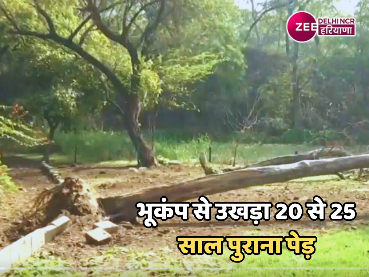 Delhi-NCR Earthquake: धौला कुआं में बार-बार भूकंप का केंद्र क्यों बन रहा झील पार्क? वैज्ञानिक करेंगे परीक्षण