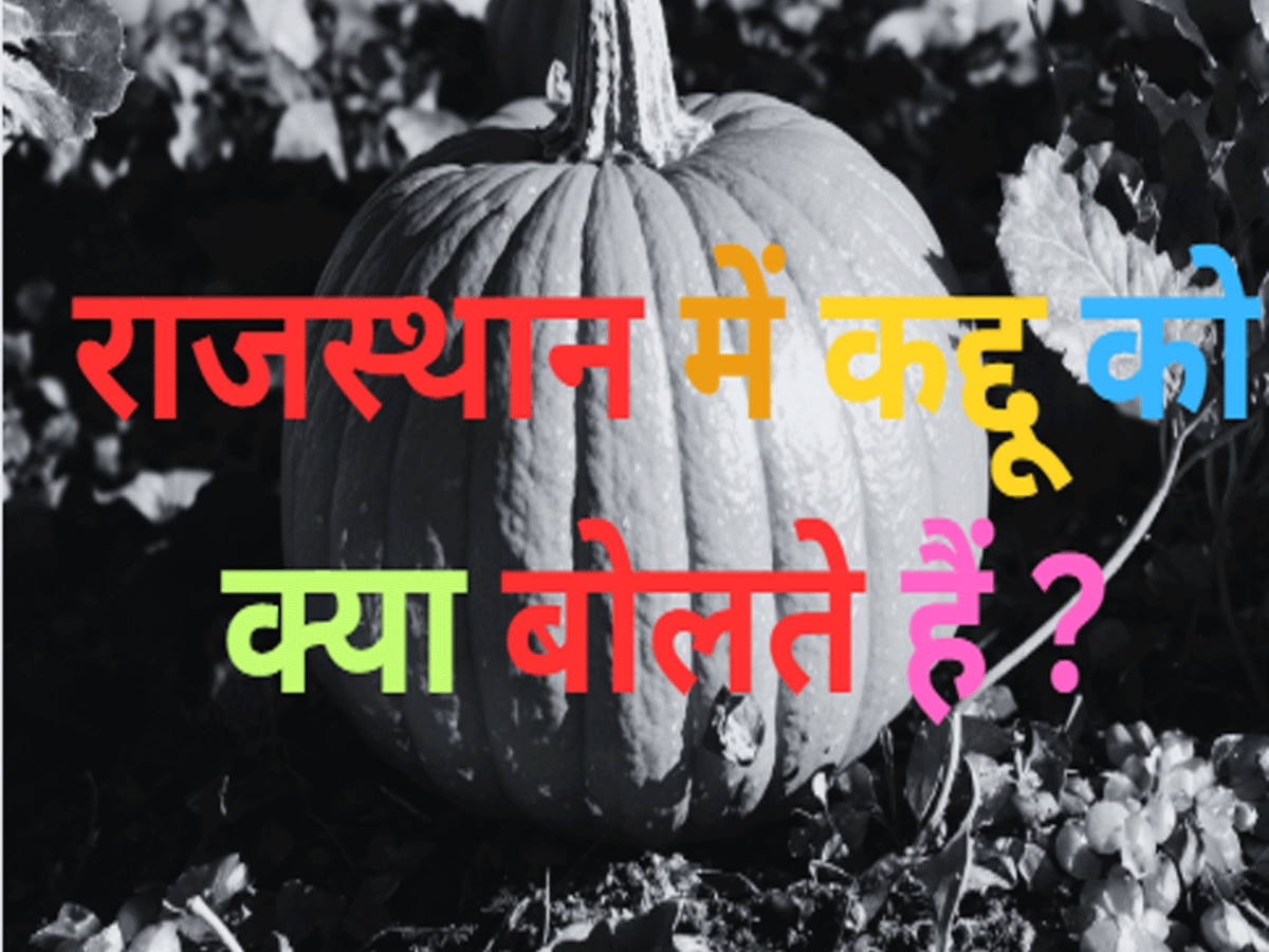 Trending Quiz rajasthan gk question What is Rajasthani name of pumpkin