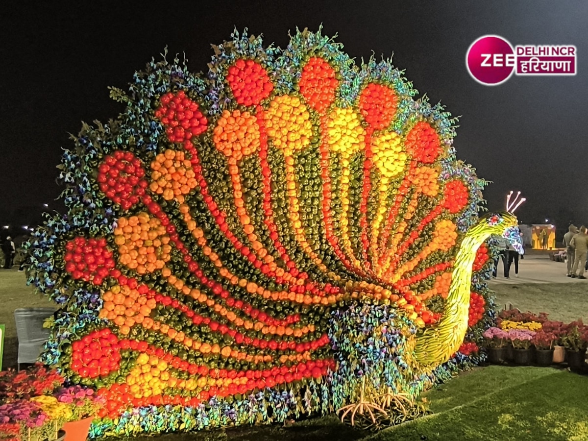 Noida Flower Show 2025: नोएडा में 4 दिन के लिए लगने वाला है फ्लावर शो, जानें डेट और टाइमिंग