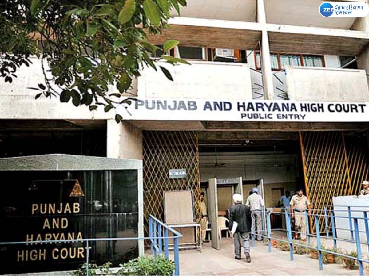 High Court News: ਹਾਈ ਕੋਰਟ ਨੇ ਗ਼ੈਰ-ਕਾਨੂੰਨੀ ਇਮੀਗ੍ਰੇਸ਼ਨ ਰੋਕਣ ਦੇ ਦਿੱਤੇ ਹੁਕਮ; ਫਰਜ਼ੀ ਟਰੈਵਲ ਏਜੰਟਾਂ ਲਈ ਚੈਕ ਪੋਸਟ ਬਣਾਉਣ ਦੀ ਮੰਗ ਉੱਠੀ