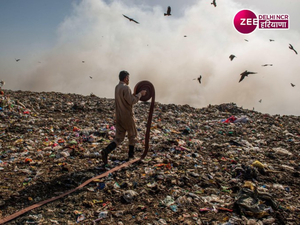 Delhi Landfill Sites: कचरे का पहाड़ कम करने के लिए MCD ने उठाया ये बड़ा कदम, बस करना होगा यह काम