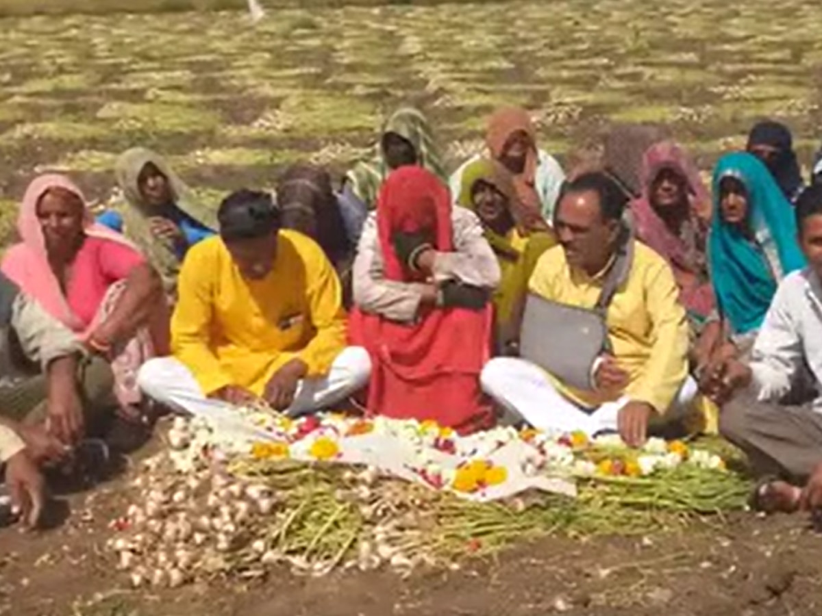 लहसुन को ओढ़ाया कफन, किसानों ने बहाये आंसू, मंदसौर में सजाई फसल की अर्थी