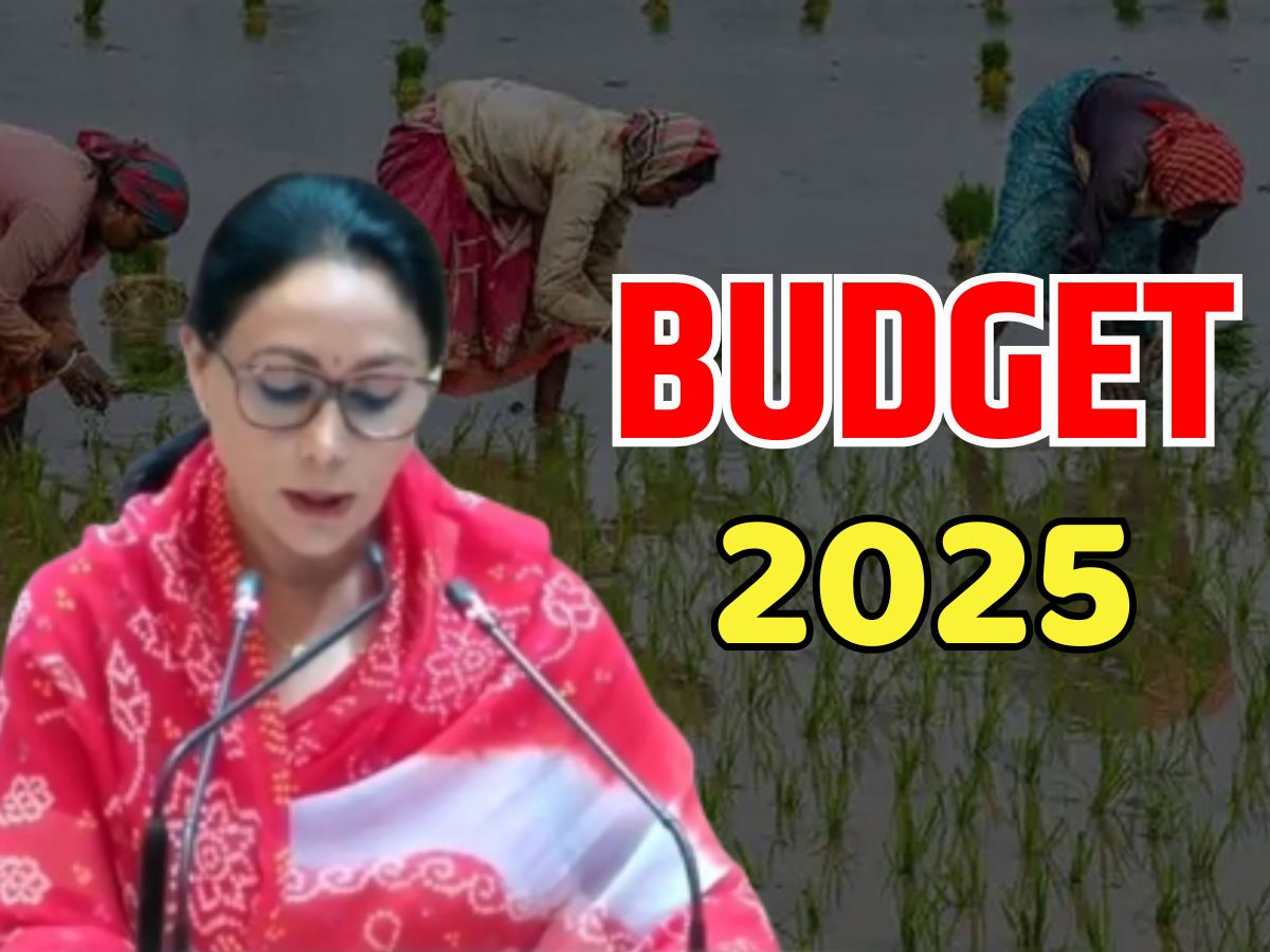 Rajasthan Budget 2025: डिप्टी CM दीया कुमारी ने अलग से पेश किया कृषि बजट, 30 लाख किसानों के लिए लोन तो पशुपालकों को... Rajasthan Budget 2025: डिप्टी CM दीया कुमारी ने अलग से पेश किया कृषि बजट, 30 लाख किसानों के लिए लोन तो पशुपालकों को...