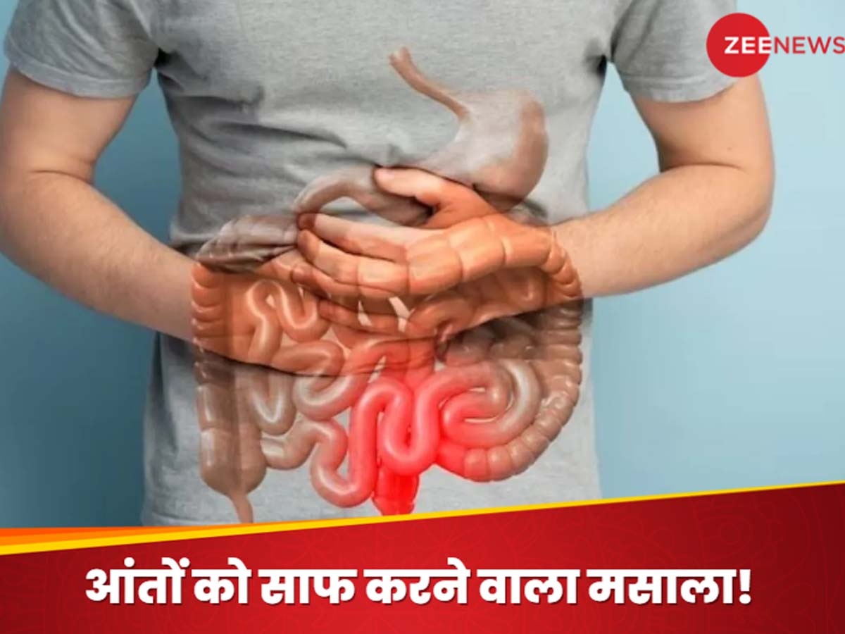 Health Tips: आंतों को अंदर से साफ कर देता है रसोई में रखा ये मसाला, गैस-एसिडिटी, कब्ज-दस्त हो जाएंगे पुराने जमाने की बात