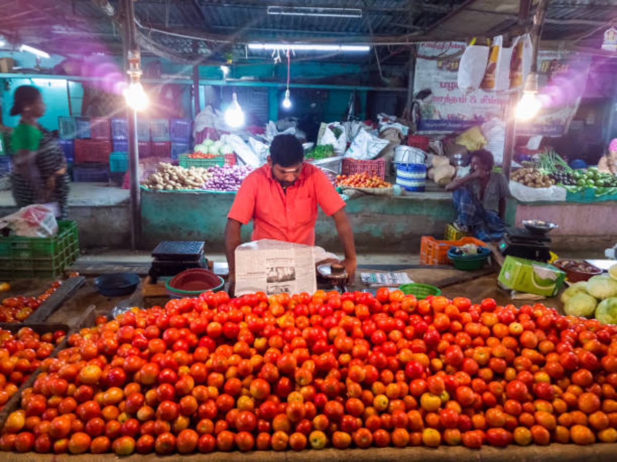 Tomato Prices Drop