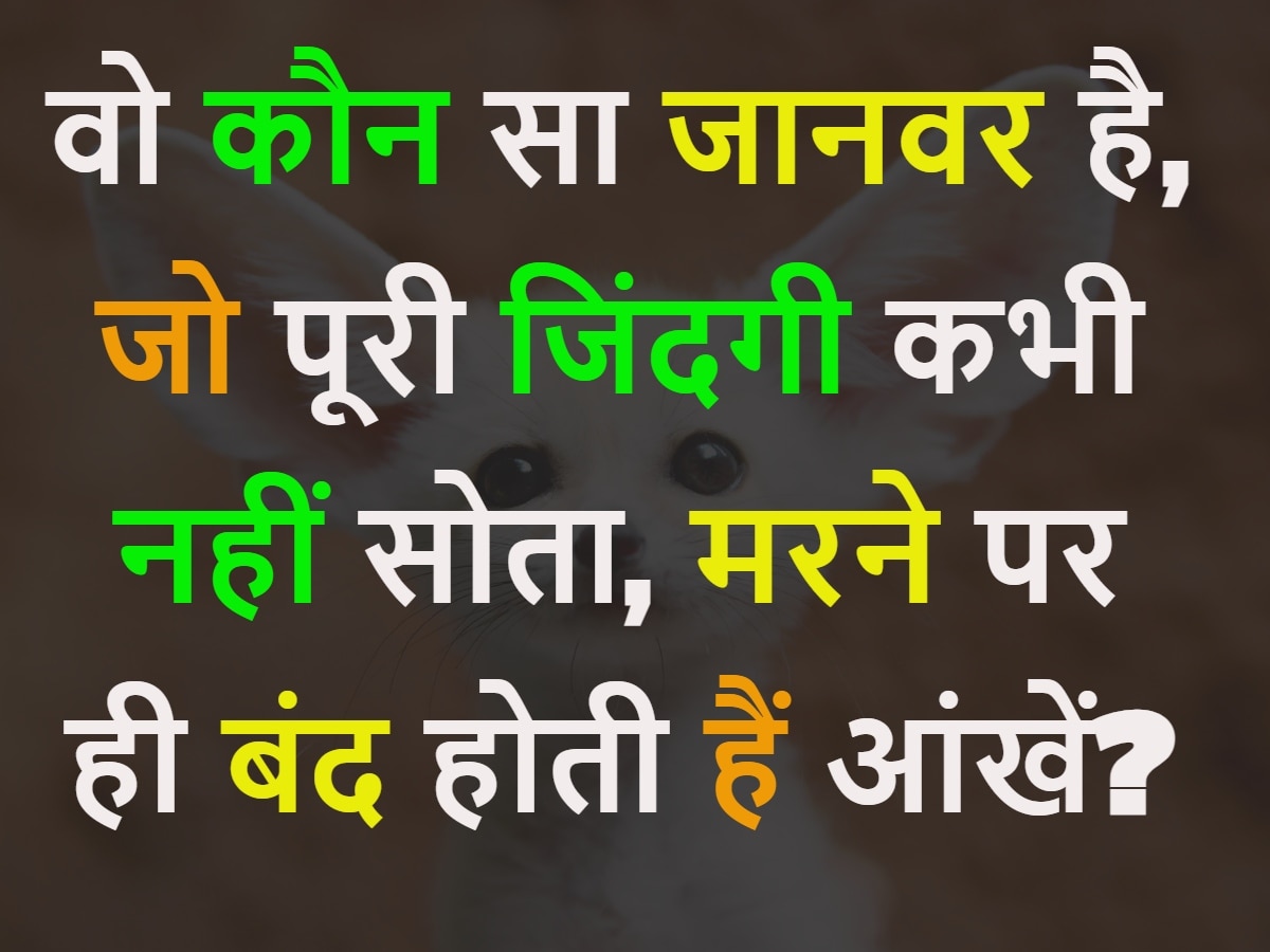 Quiz: वो कौन सा जानवर है, जो पूरी जिंदगी कभी नहीं सोता, मरने पर ही बंद होती हैं आंखें?