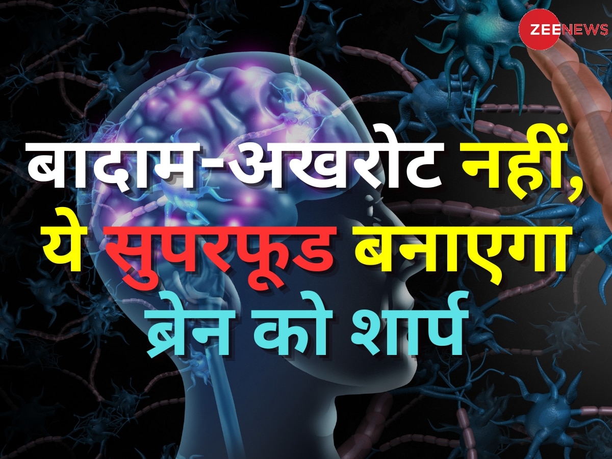 बादाम-अखरोट छोड़िए, ये चीज खाकर बनाएं ब्रेन को शार्प, जानें दिमाग तेज करने का फॉर्मूला