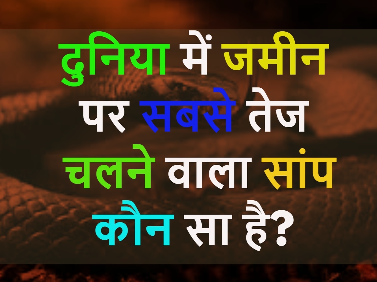 GK Quiz: क्या आपको पता है दुनिया में जमीन पर सबसे तेज चलने वाला सांप कौन सा है?