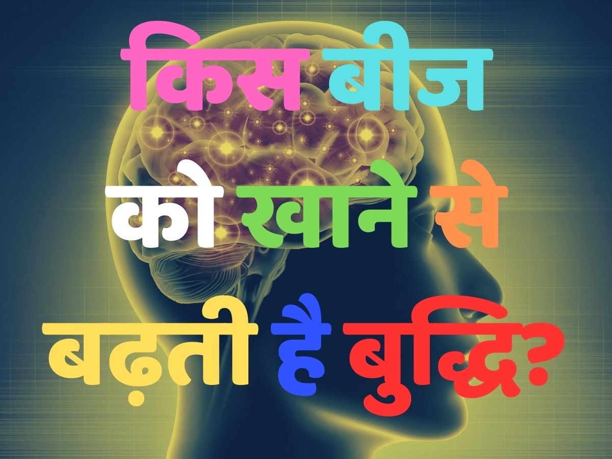 Health quiz: किस बीज को खाने से बढ़ती है बुद्धि? 