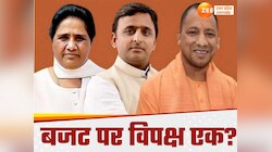 'सीएम योगी का ये सेकेंड लास्ट बजट', अखिलेश ने कैसे यूपी बजट को बताया खोखला
