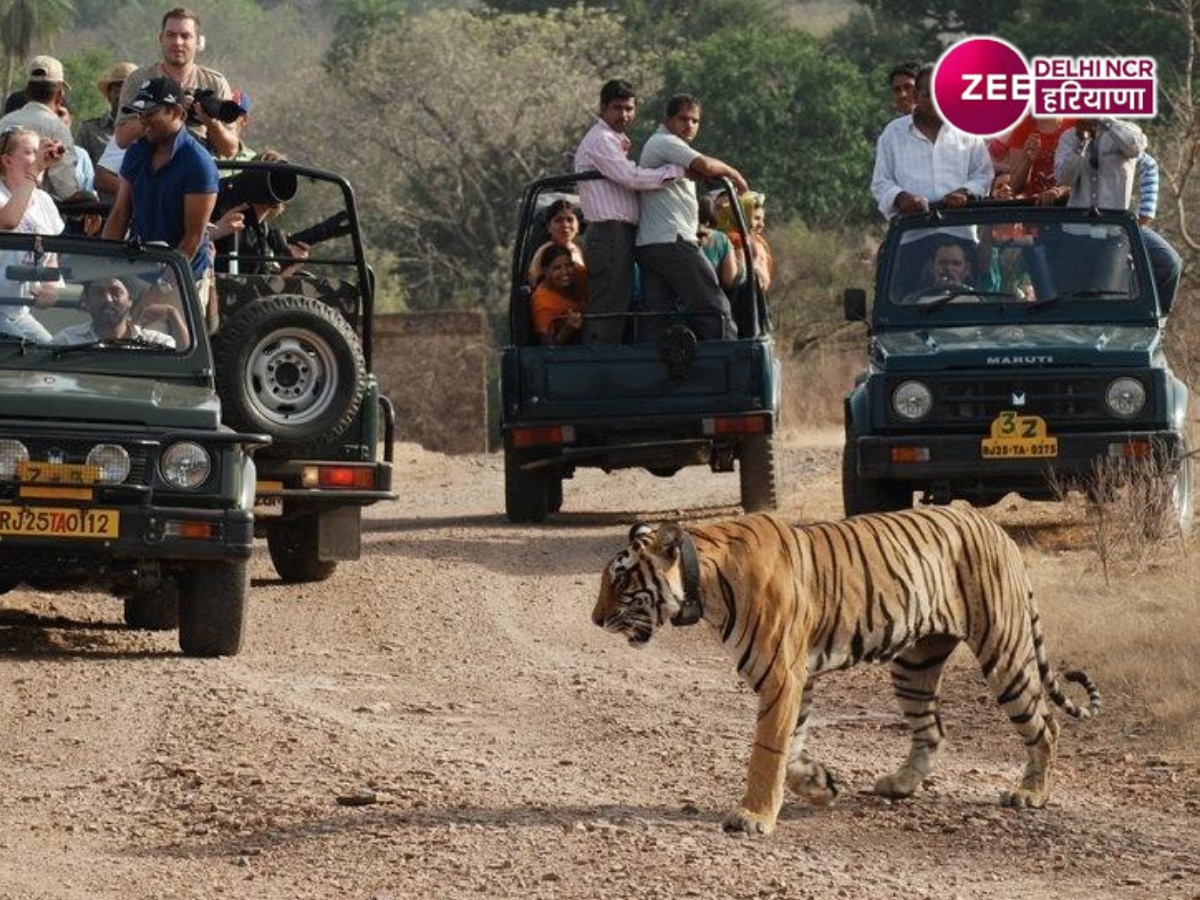 Jungle Safari Park Haryana: हरियाणा में बनेगा दुनिया का सबसे बड़ा जंगल सफारी पार्क, अरावली क्षेत्र में होगा विकसित