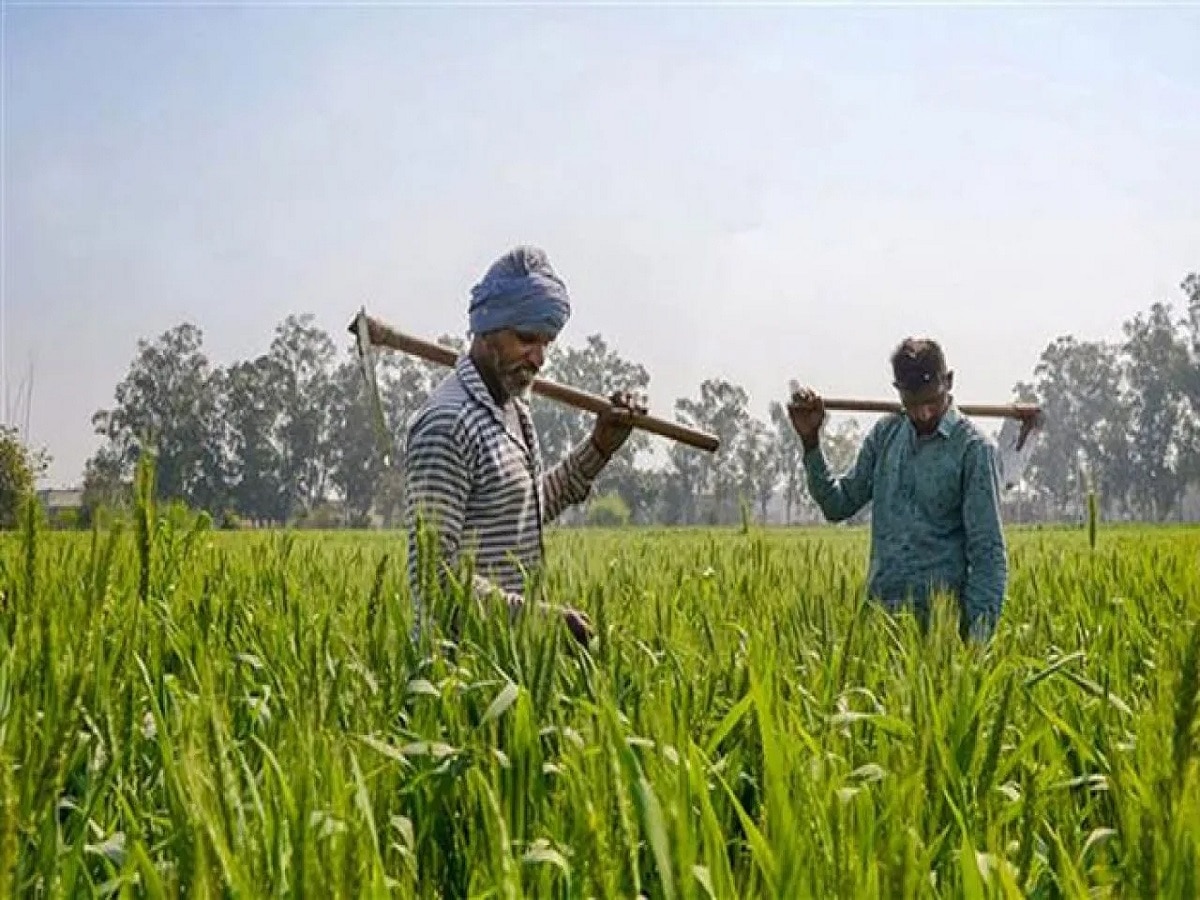 PM Kisan: खत्म हुआ इंतजार, इस तारीख को देशभर के किसानों के खाते में आएंगे ₹2000