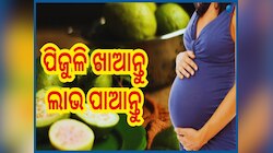 Guava In Pregnancy: ଗର୍ଭାବସ୍ଥାରେ ଖାଆନ୍ତୁ ପିଜୁଳି, ଶିଶୁ ସହ ମା'ର ସ୍ୱାସ୍ଥ୍ୟରେ ଦେଖା ଦେବ ଉ