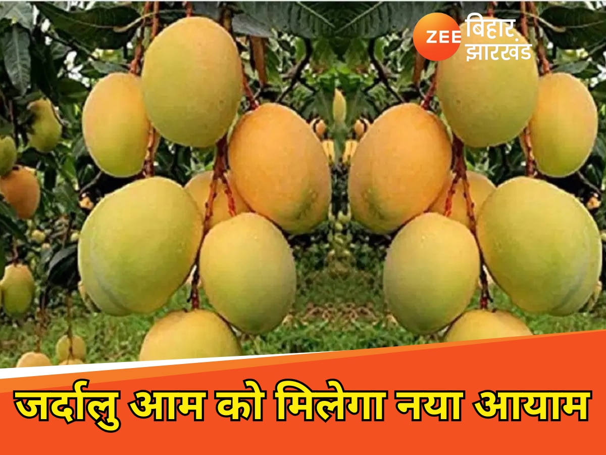 PM Modi said in Bhagalpur Establishment of Center of Excellence for Jardalu Mango in Bhagalpur