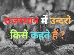 Trending Quiz : राजस्थान में उन्दरो किसे कहते हैं ?