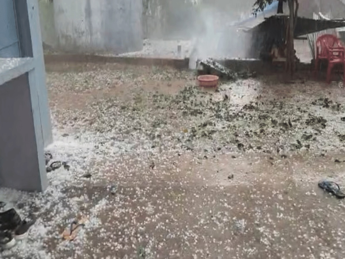 Rajasthan Weather Update: राजस्थान में फिर पलटा मौसम का हाल, बारिश, आंधी-तूफान के साथ जोरदार ओले गिरने का अलर्ट  