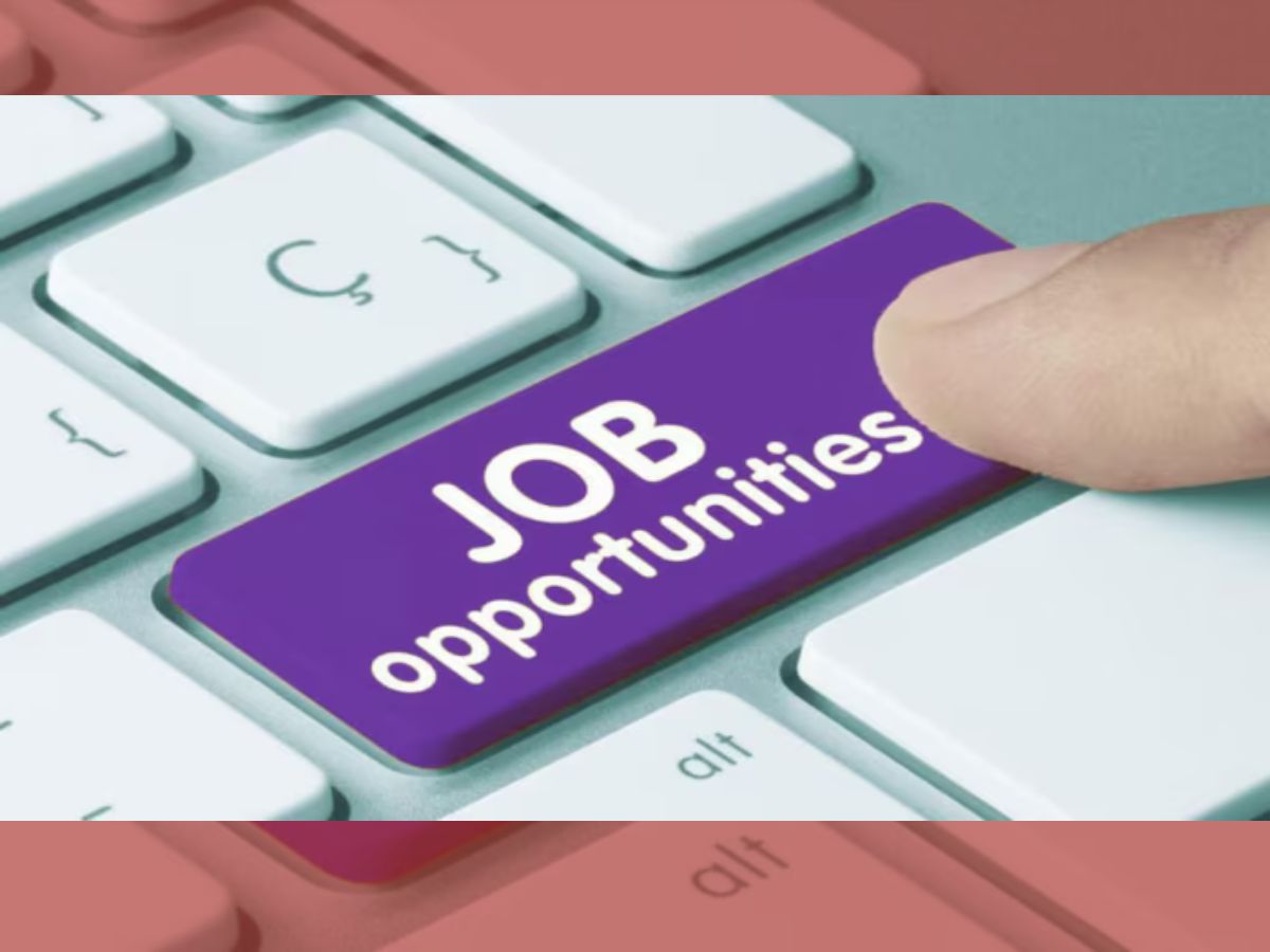 ୨୦ରୁ ୨୮ ବର୍ଷ ଯୁବକଙ୍କ ପାଇଁ ସୁବର୍ଣ୍ଣ ସୁଯୋଗ, ବ୍ୟାଙ୍କ ଅଫ୍ ଇଣ୍ଡିଆରେ ବାହାରିଲା ଚାକିରି ୨୦ରୁ ୨୮ ବର୍ଷ ଯୁବକଙ୍କ ପାଇଁ ସୁବର୍ଣ୍ଣ ସୁଯୋଗ, ବ୍ୟାଙ୍କ ଅଫ୍ ଇଣ୍ଡିଆରେ ବାହାରିଲା ଚାକିରି