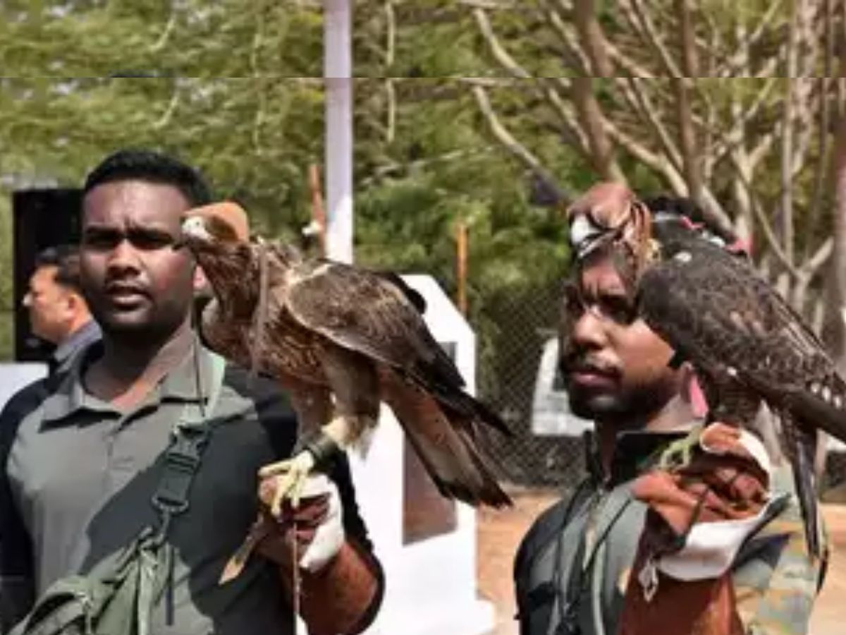 अब 'पुष्पा' गिराएगा आसमान में दुश्मनों का ड्रोन, क्या आपने सुना है भारत के एकमात्र पक्षी दस्ते के बारे में?