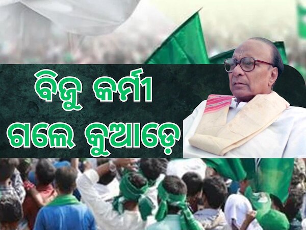 Biju Jayanti: ବିଜୁ ଜୟନ୍ତୀରେ ମୋହନଙ୍କ ବିଜୟ ହୋଇଛି କି ?