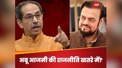 'अबू आजमी को परमानेंट निकालिए..UP जाकर लड़ें चुनाव' ठाकरे ने अखिलेश को भी सुना दिया