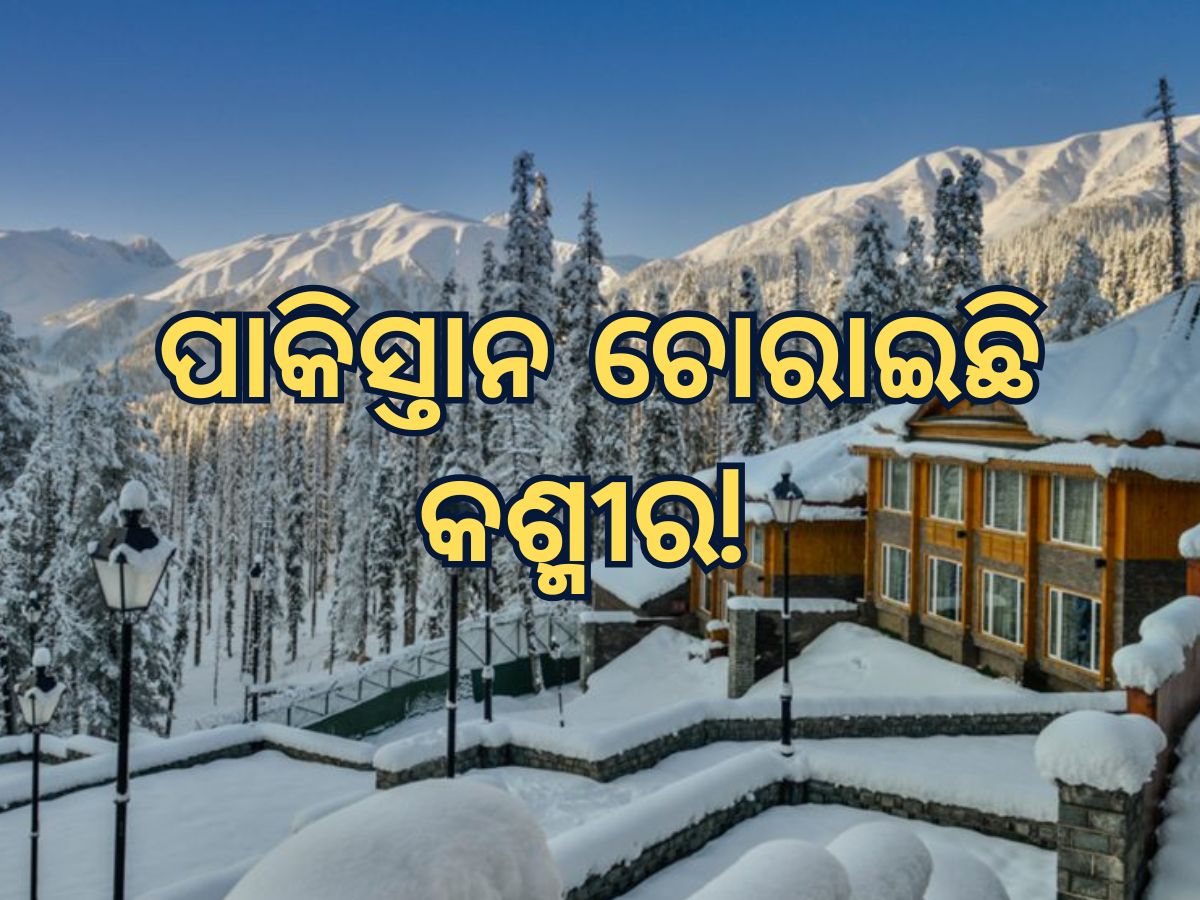 Kashmir issue : ପାକ୍ ଅଧିକୃତ କଶ୍ମୀର ଫେରିଲେ, ସମାଧାନ ହେବ କଶ୍ମୀର ପ୍ରସଙ୍ଗ Kashmir issue : ପାକ୍ ଅଧିକୃତ କଶ୍ମୀର ଫେରିଲେ, ସମାଧାନ ହେବ କଶ୍ମୀର ପ୍ରସଙ୍ଗ