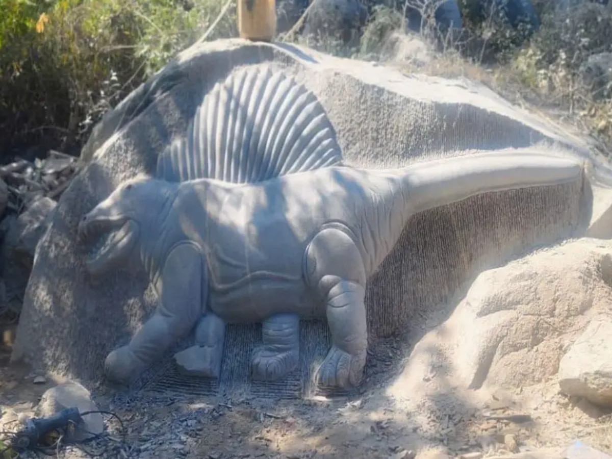 chhattisgarh jurassic rock garden is being built in manendragarh where  fossils of ancient sea creatures were found | जहां मिले थे प्राचीन समुद्री  जीवों के जीवाश्म, वहां बन रहा है अनोखा जुरासिक