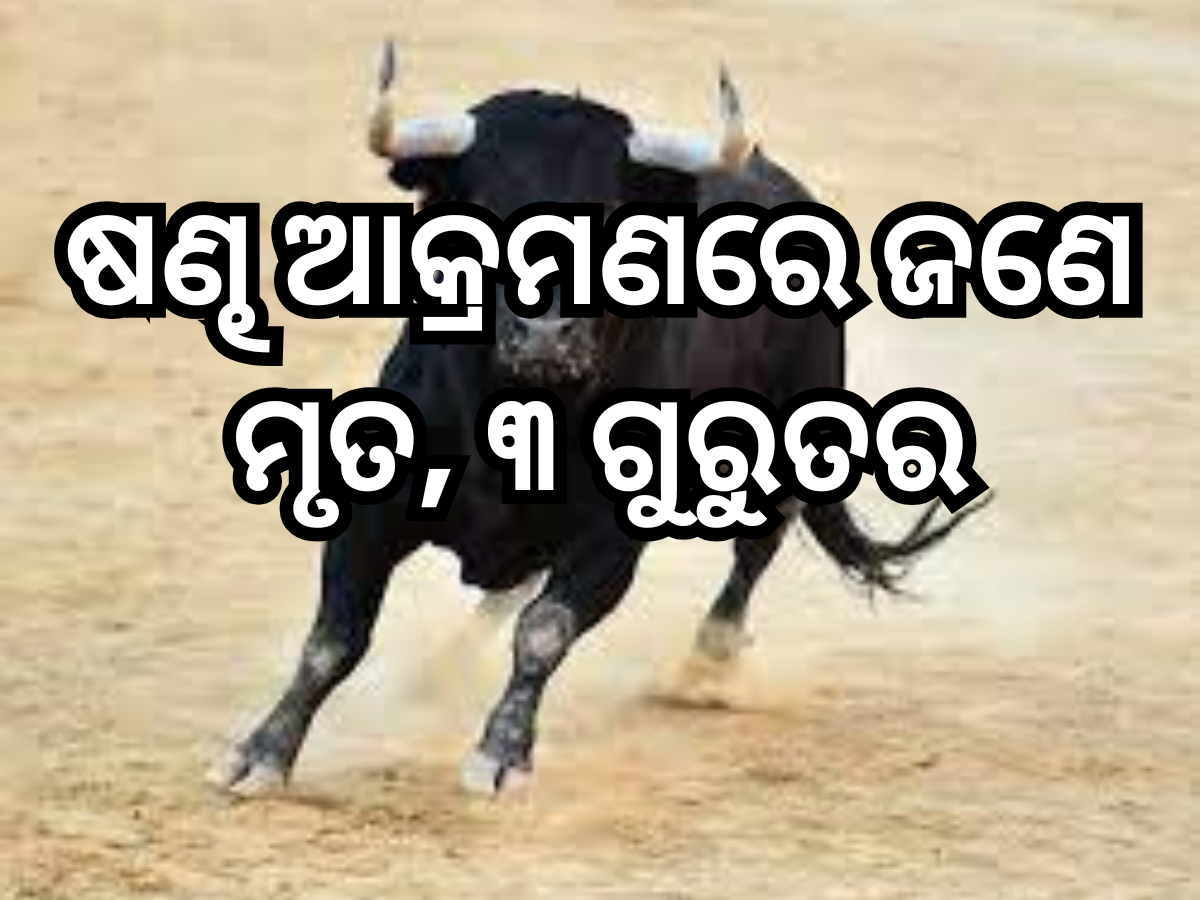 Bull Attack In Puri (Symbolic image) Bull Attack In Puri (Symbolic image)