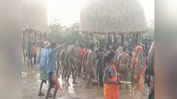 CG-कीचड़ में लोटकर होता है बारात का स्वागत, दूल्हा-दुल्हन निकालते हैं जानवर की आवाज