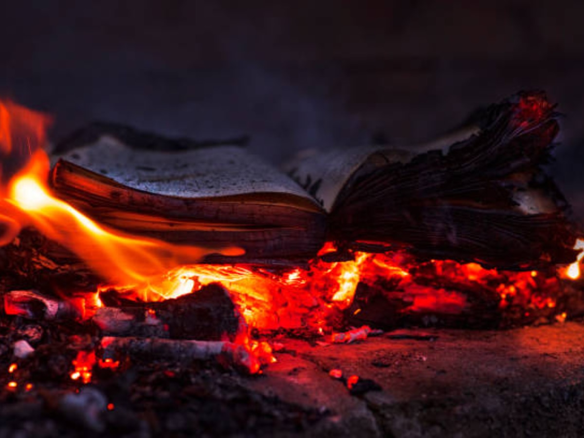 Bhilwara News: असामाजिकतत्वों का तांडव, धोली गांव की स्कूल में लगाई आग, पुस्तकें और सामग्री जलकर राख