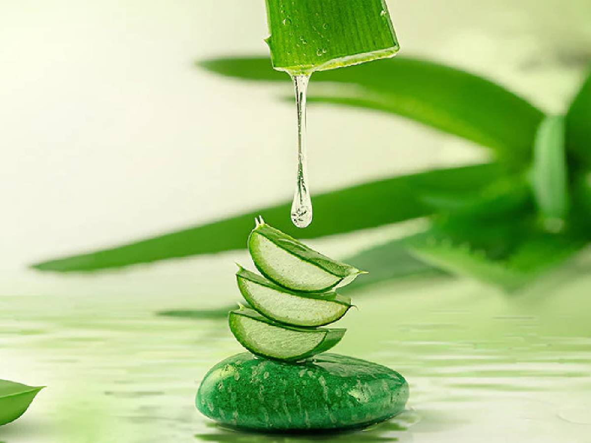 एलोवेरा जेल